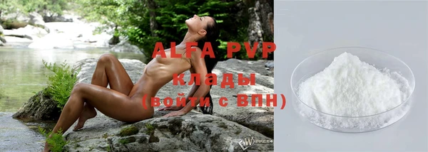 амф Дмитриев